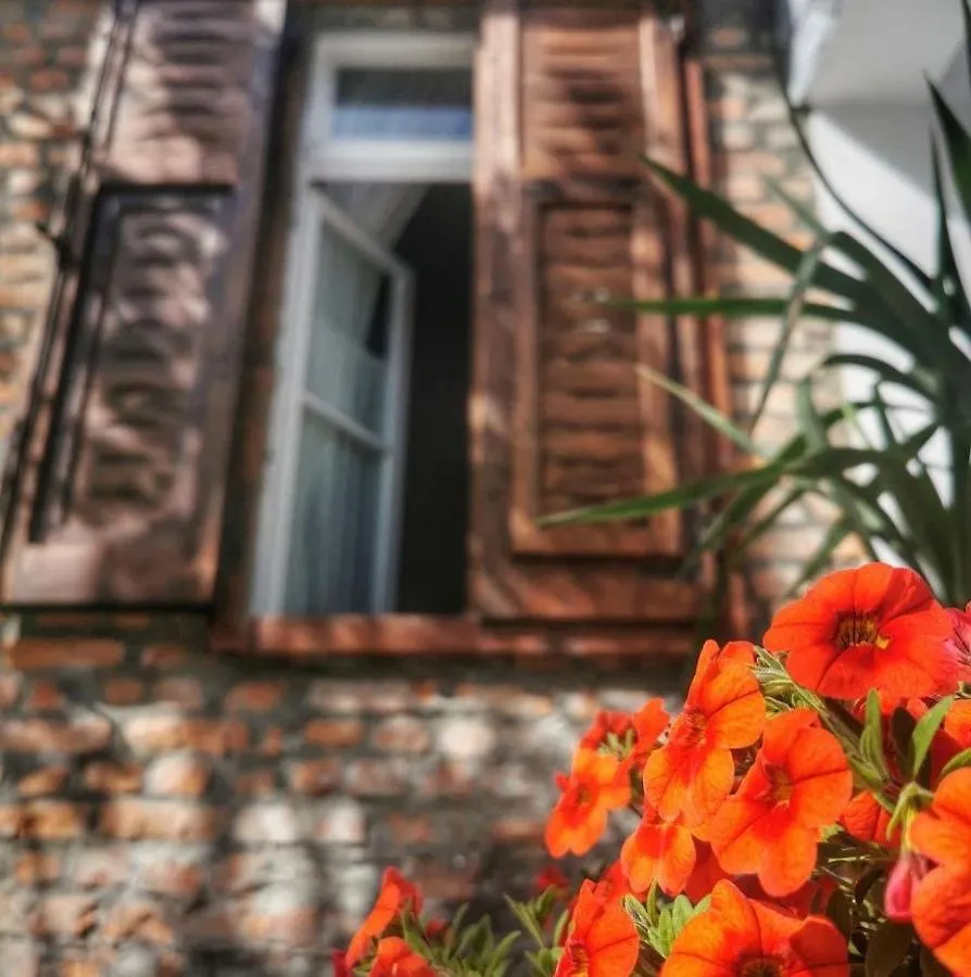 Intown Guesthouse Shkoder 0*,